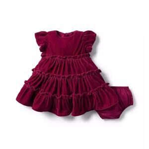 Janie and Jack Raspberry Radiance Velvet Party Dress Size 18-24 Mos EUC